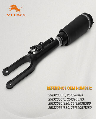 2513203013 For Mercedes-Benz R-Class (W251) Left/Right Front Axle Air Suspension Strut