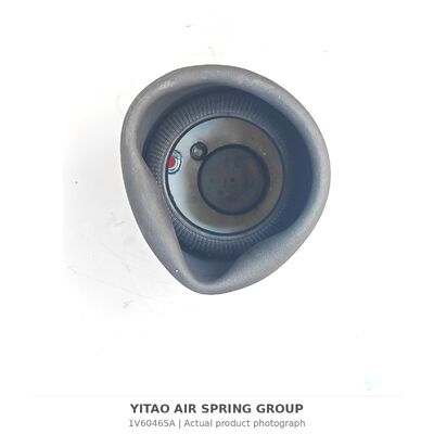 1V6046SA MAN Air Spring Without Piston 81436010152 | 4884N1P01