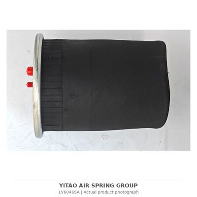 1V6046SA MAN Air Spring Without Piston 81436010152 | 4884N1P01