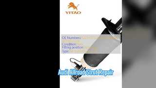 Audi Allroad Air Suspension Strut Replacement
